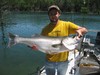 (05/27/2015) - Nice Striped Bass